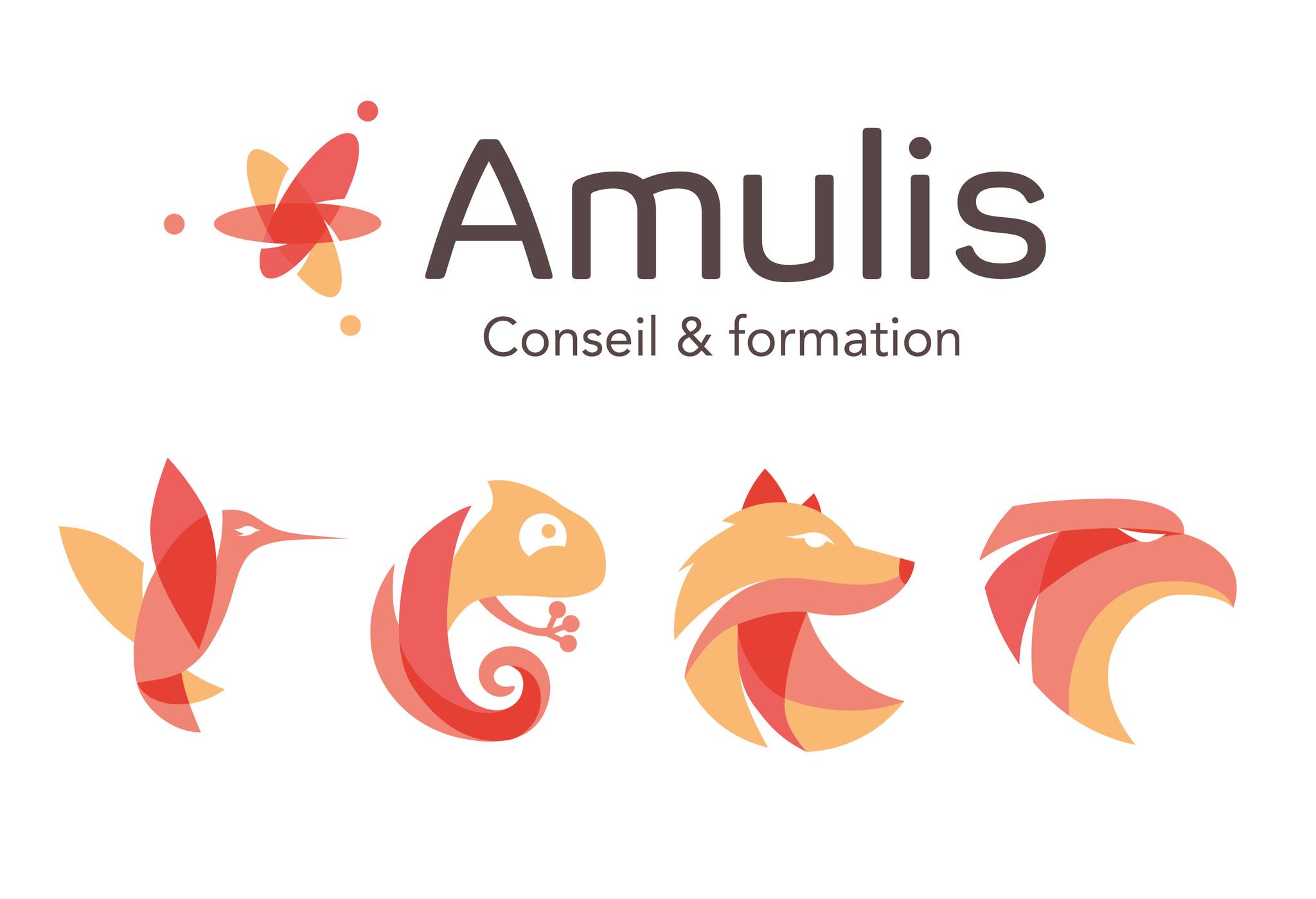 Amulis Conseil et Formation