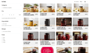 Solidevs Projet Création de site web e-commerce